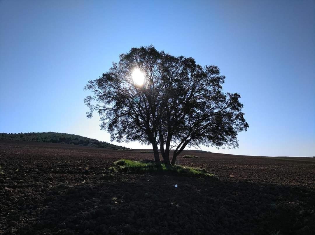 מלון Sleeping סאריה מראה חיצוני תמונה